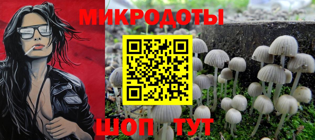 Псилоцибиновые грибы Cubensis Мыски